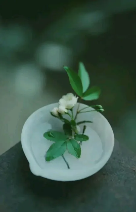 唯美时光，六月清欢